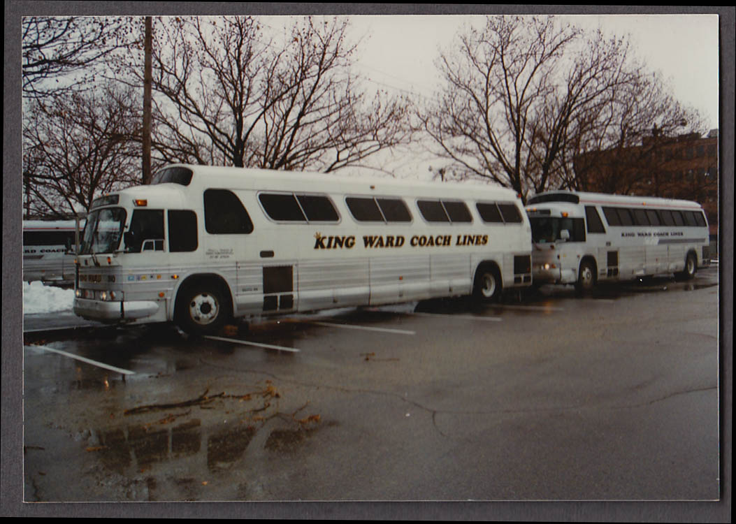 King ward discount coach