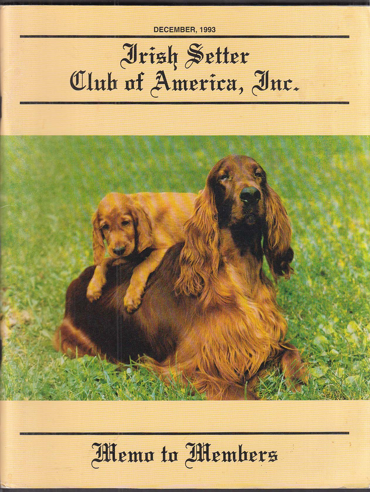 Irish setter deals club of america