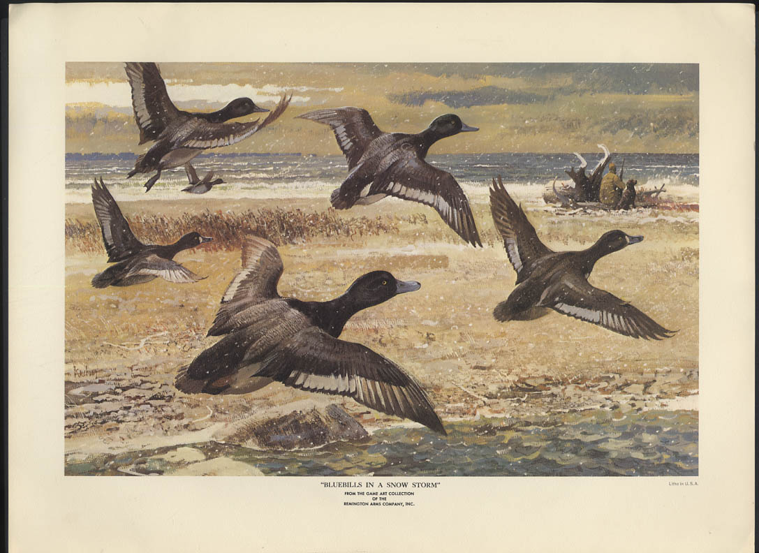 Vintage Remington's Prints Bob Kuhn Upland Birds set 12