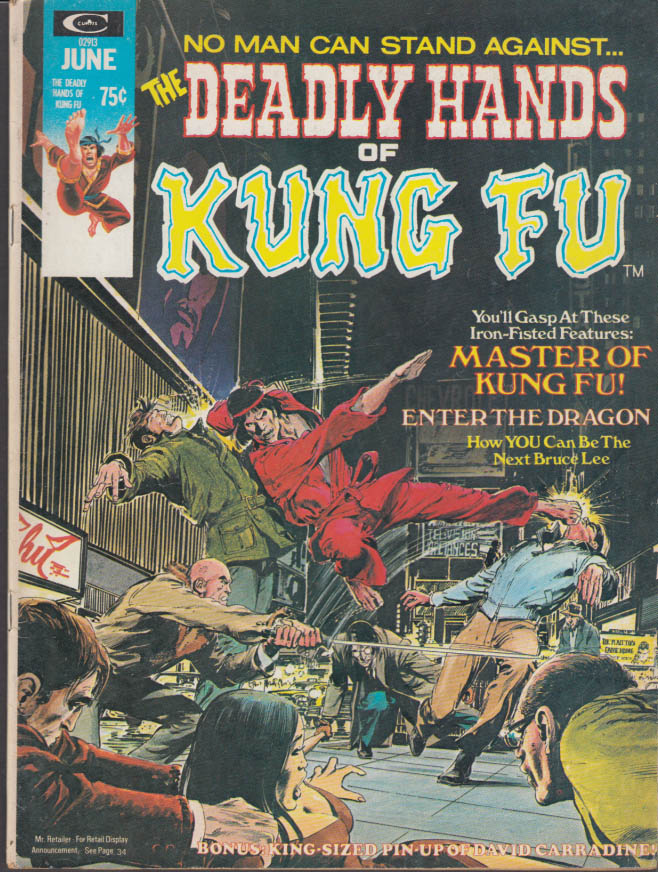 bruce lee shang chi