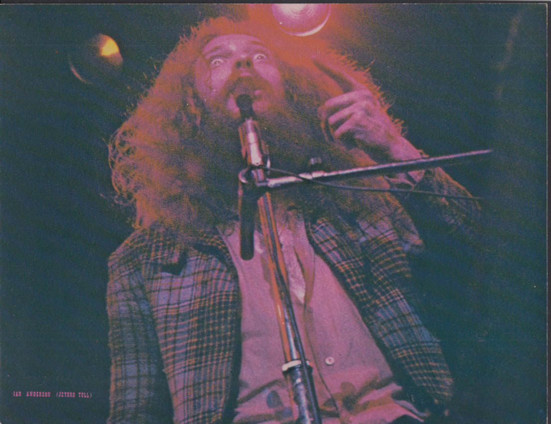 Ian Anderson Aka Jethro Tull Color Print Wendi Lombardi Rising Signs 1973