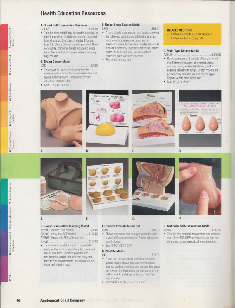 Anatomical Chart Company catalog Summer 2007