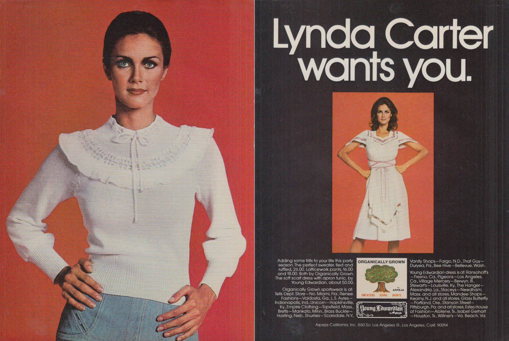 Lynda Carter wants You for Arpeja Young Edwardian Sweaters ad 1977