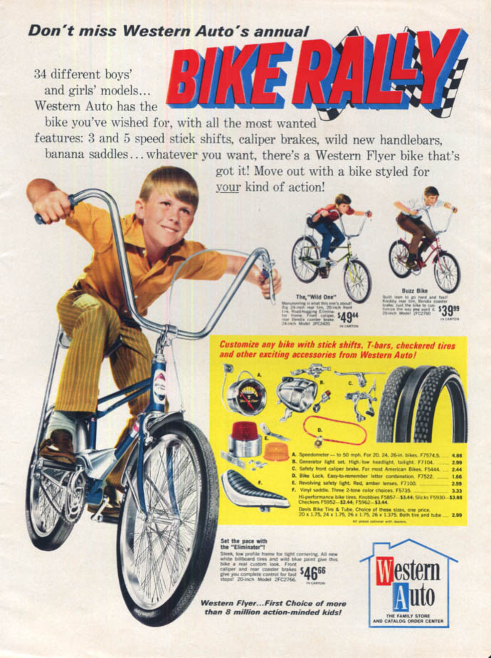 Western flyer outlet miss buzz bike