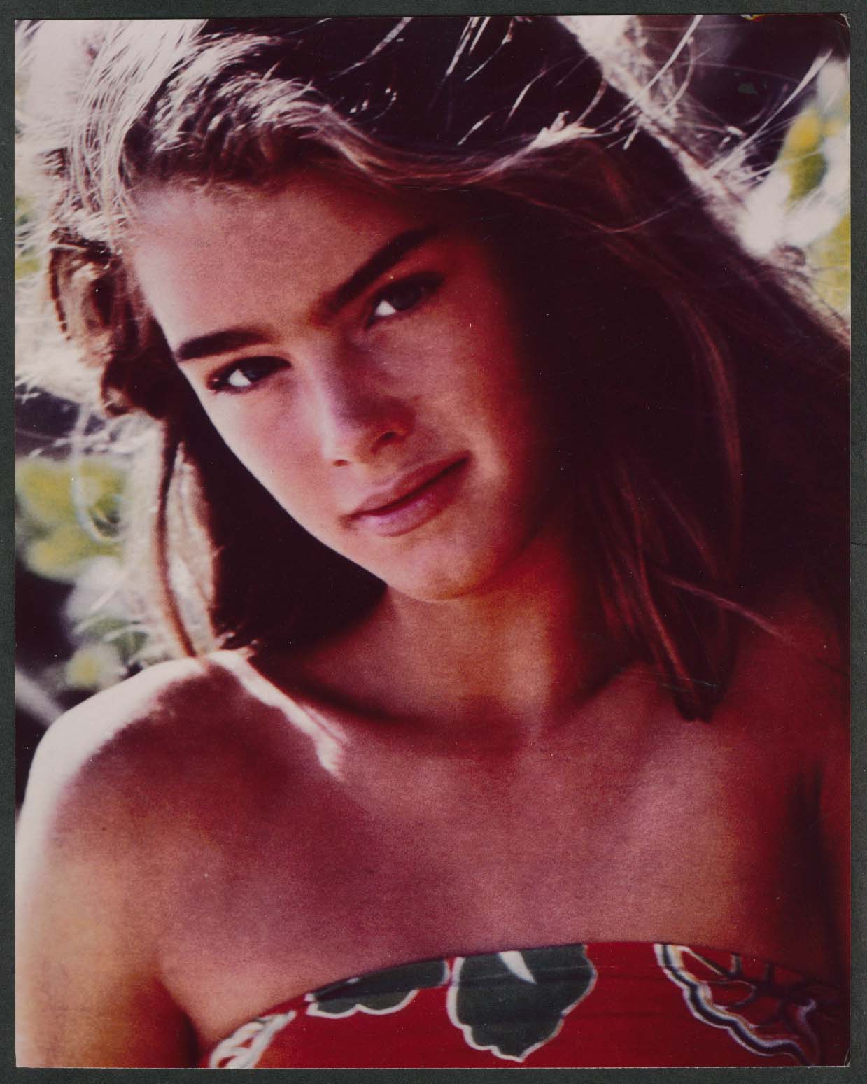 Brooke Shields Blue Lagoon Color Headshot 8x10 Photo 1990s Restrike Ebay 4293