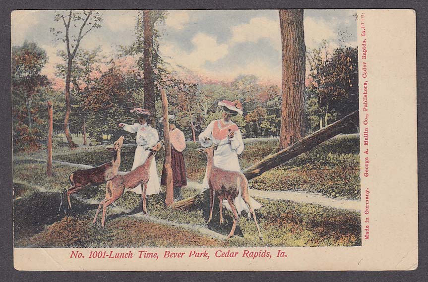 Lunch Time Bever Park Cedar Rapids Ia Postcard 1910s