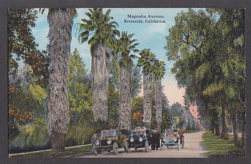 Magnolia Avenue Riverside CA postcard 1910s