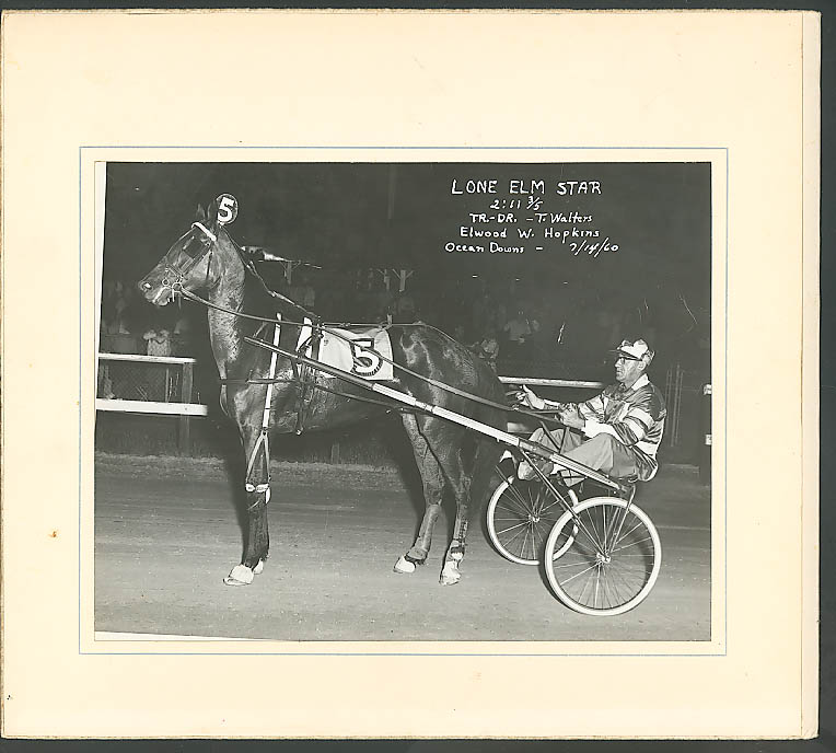 Harness racer Lone Elm Star Ocean Downs photo 1960