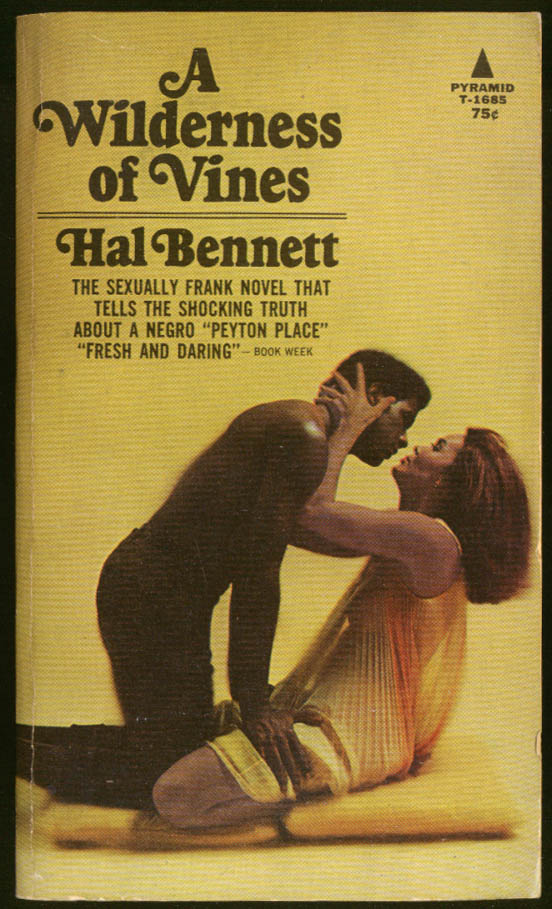 Hal Bennett A Wilderness of Vines GGA Negro Peyton Place Negligee Stud