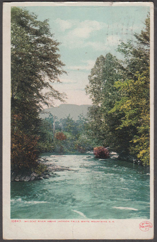 Wildcat River above Jackson Falls NH postcard 1908