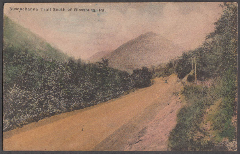 Susquehanna Trail South of Blossburg PA postcard 1929