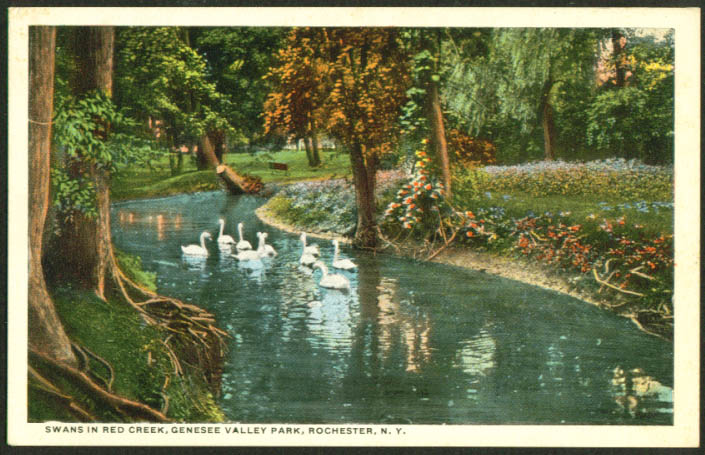 Red Creek Genesee Valley Park Rochester NY postcard 1910s