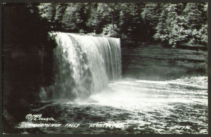 Tahquamenon Falls Newberry MI RPPC 1939