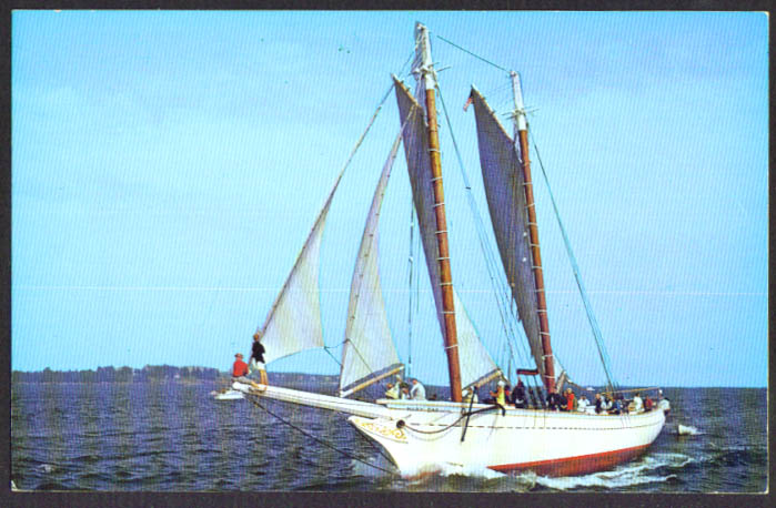 Windjammer Mary Day Sedgwick ME postcard 1960s