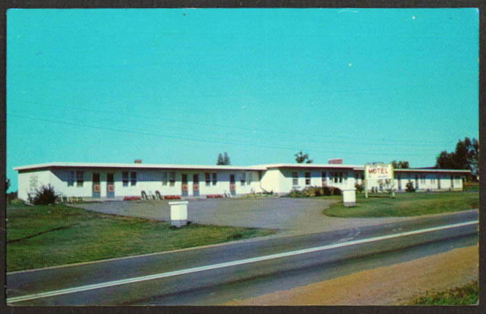 Pine Tree Motel Eganville ON postcard 1950s