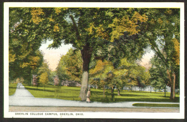 Campus view Oberlin College Oberlin OH postcard 1910s