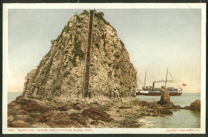 Stairs up Sugar Loaf Santa Catalina Island steamer CA postcard 1900s