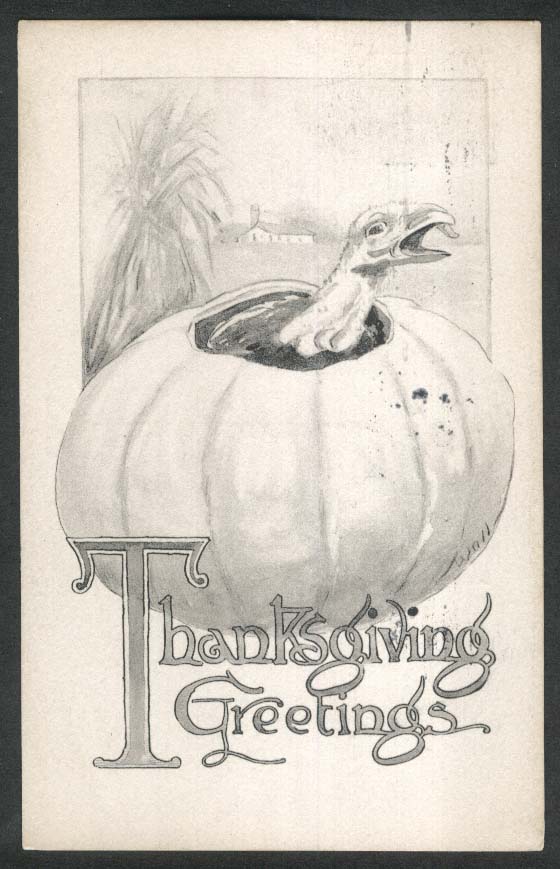 Thanksgiving Greetings turkey in pumpkin postcard 1914