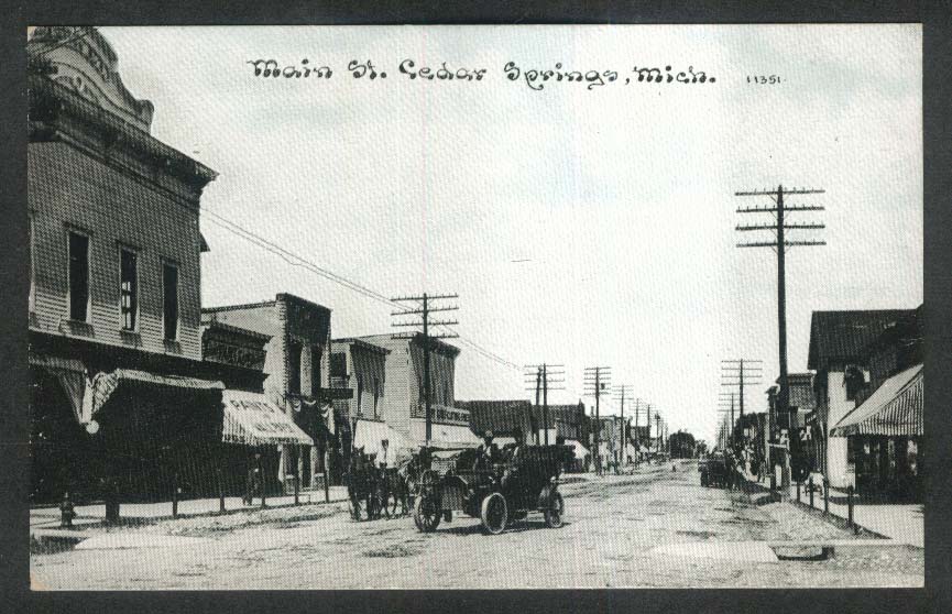 Paints & Wallpaper Main Street Cedar Springs MI postcard 1910s