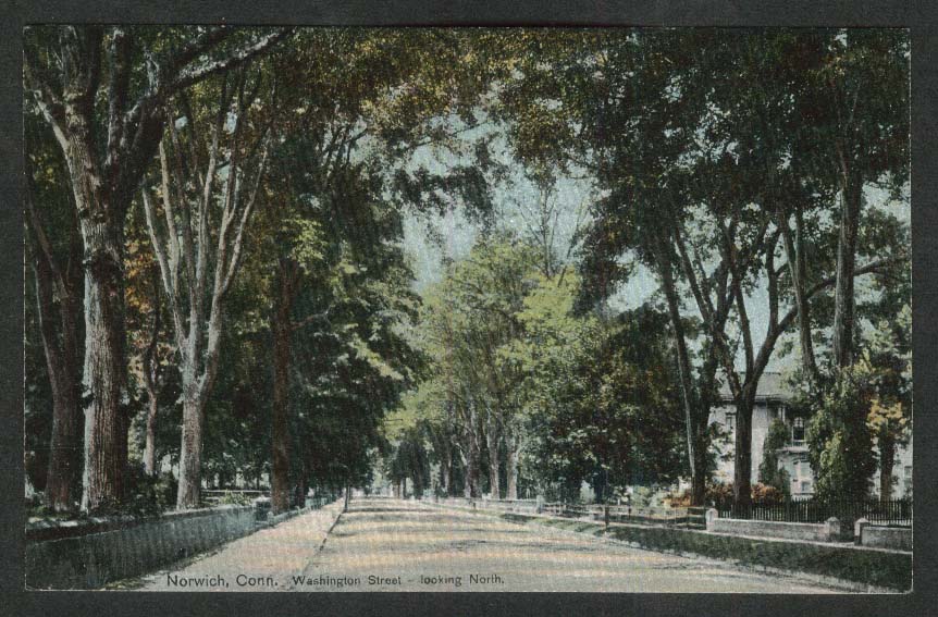 Washington Street looking North Norwich CT postcard 1910s