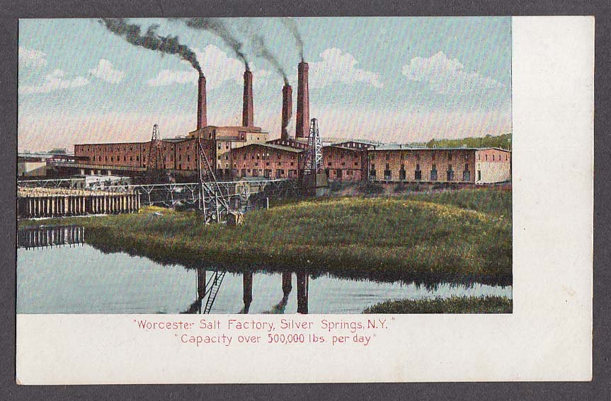 Worcester Salt Factory Silver Springs NY undivided back postcard 1900s